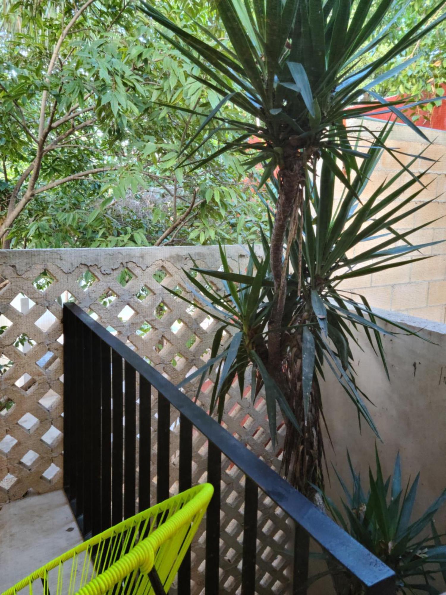 Casa Ramona Hotell Mérida Eksteriør bilde